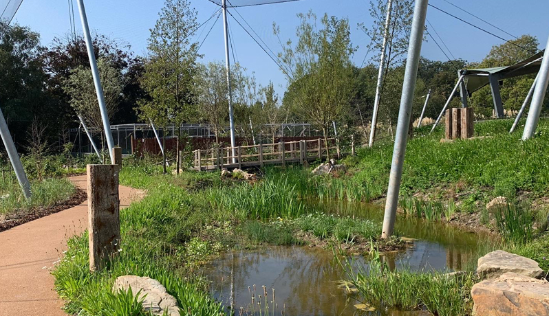 Living Wetlands Theatre, Slimbridge