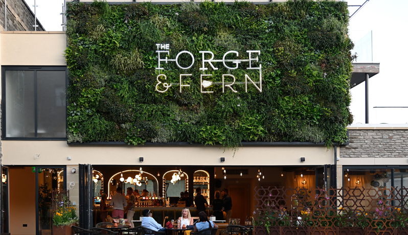 Forge & Fern, Bristol